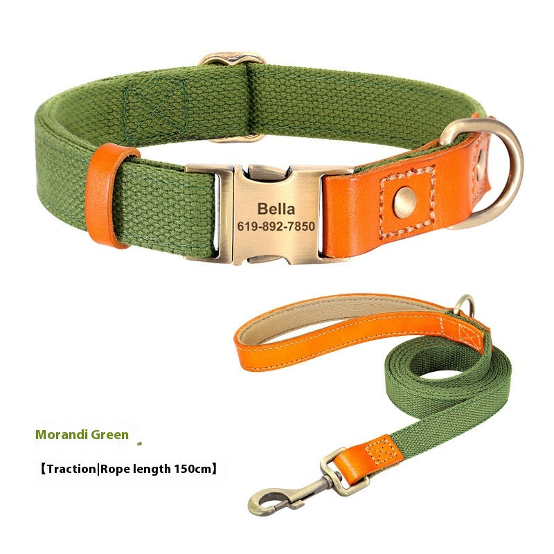 Rope de traction du collier de petit chien