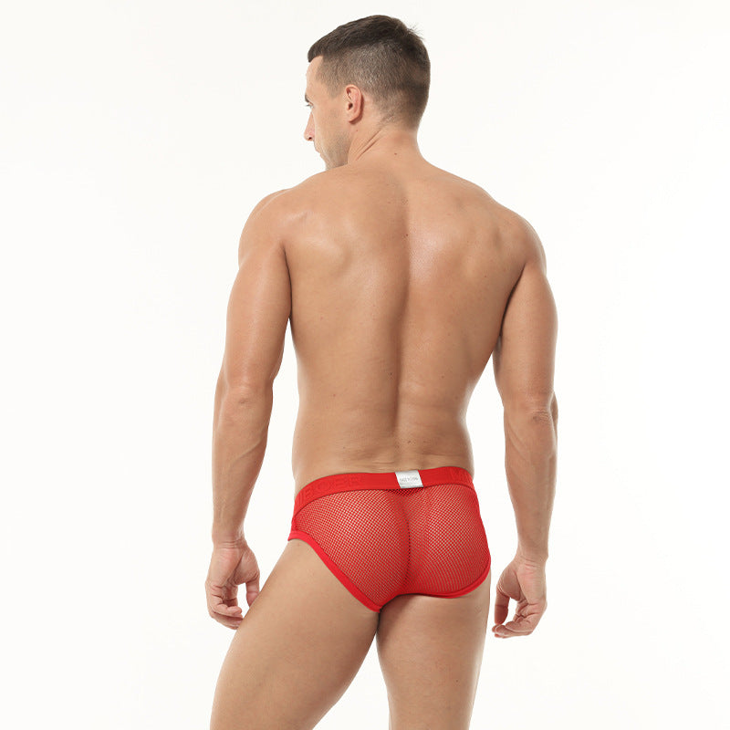 Sexy hommes slips hauts élastique Mesh bas taille culottes