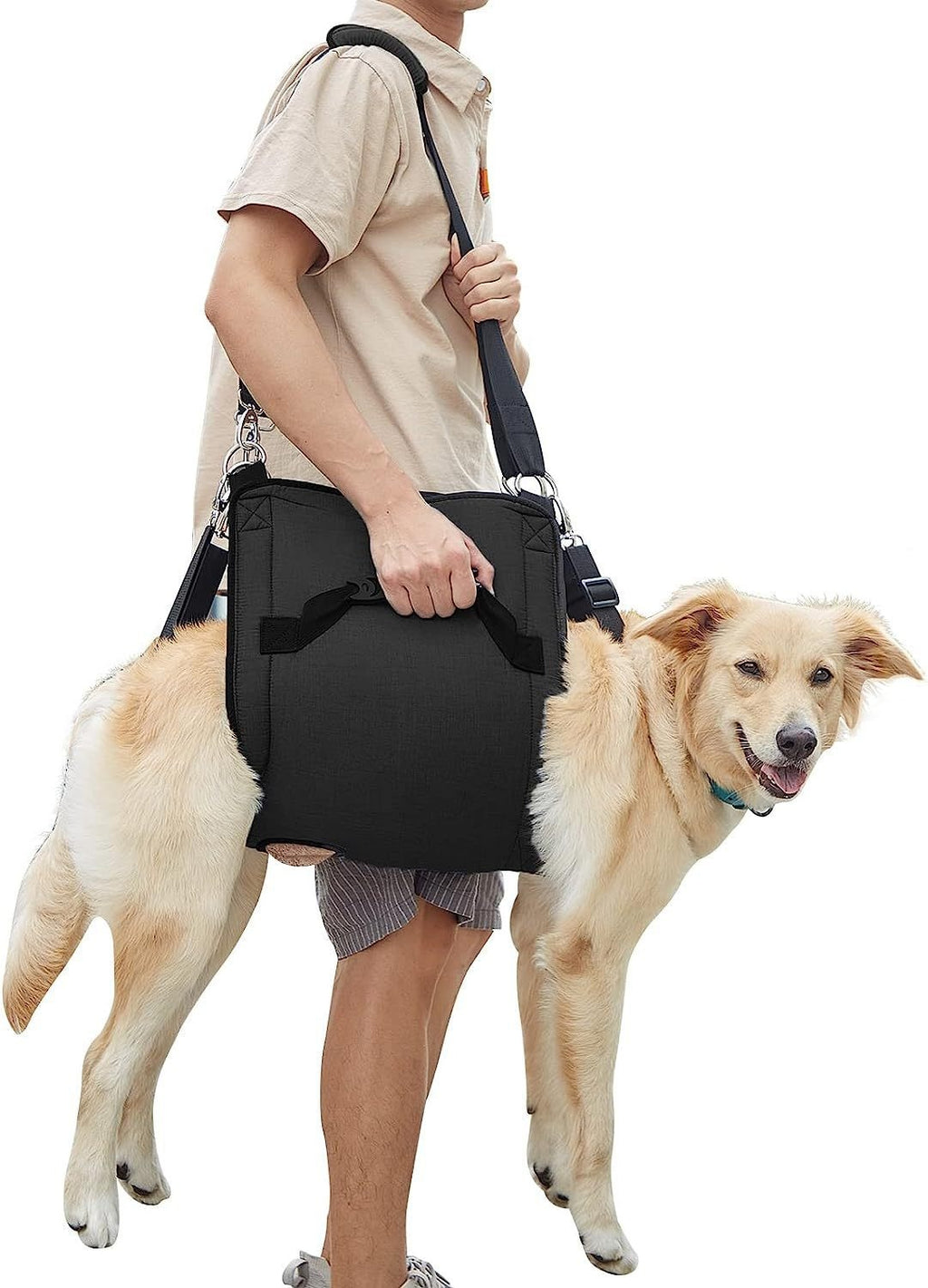 (XXL, Noir)Pet Traction Rope Rehabilitation Strap poitrine réglable chien de voyage extérieur Ass