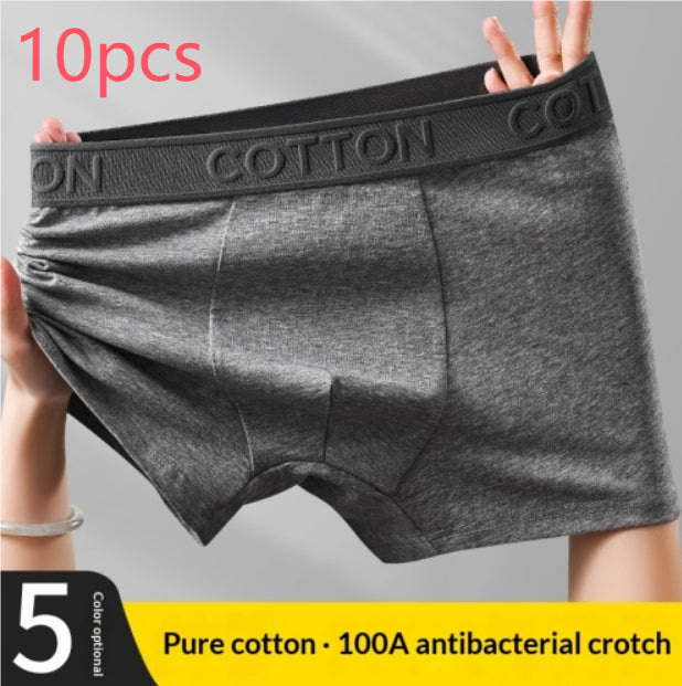 Boxer en coton antibactérien haut de gamme pour hommes