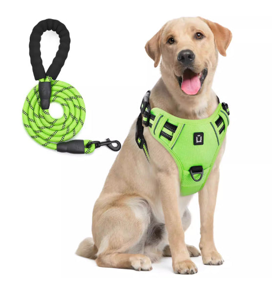 Harnais de chien et combo de laisse avec conception de preuve d'évasion