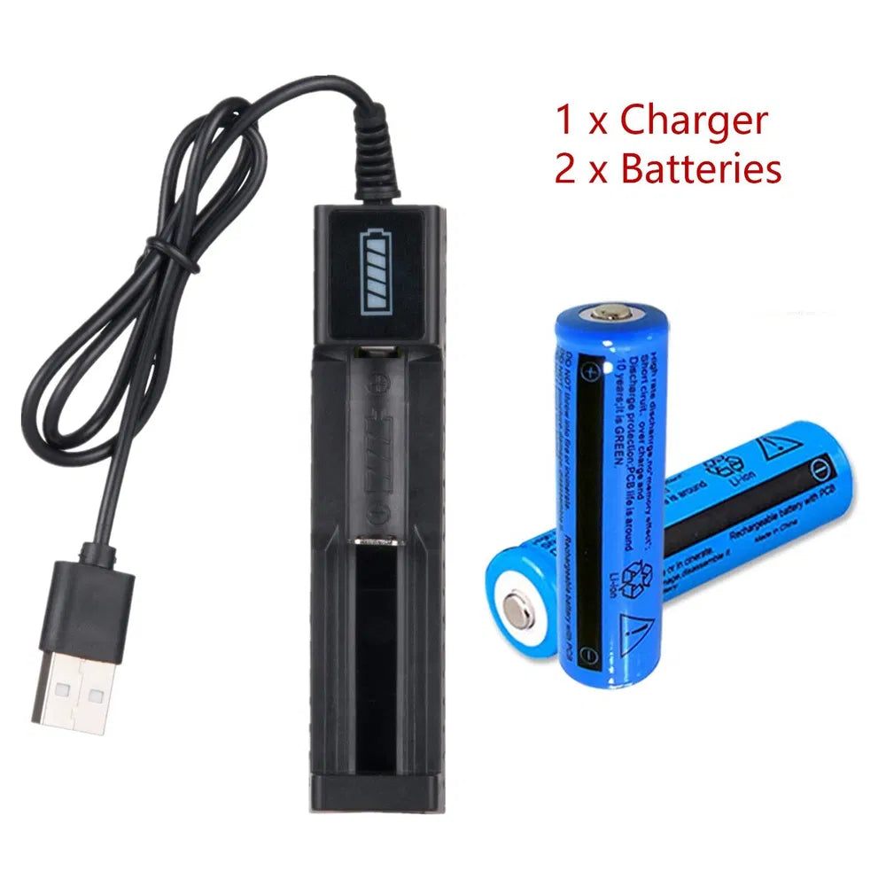 Batterie rechargeable Li-Ion Bouton Top Batteries 3000mAh Batterie multifonction 3.7V et chargeur USB F