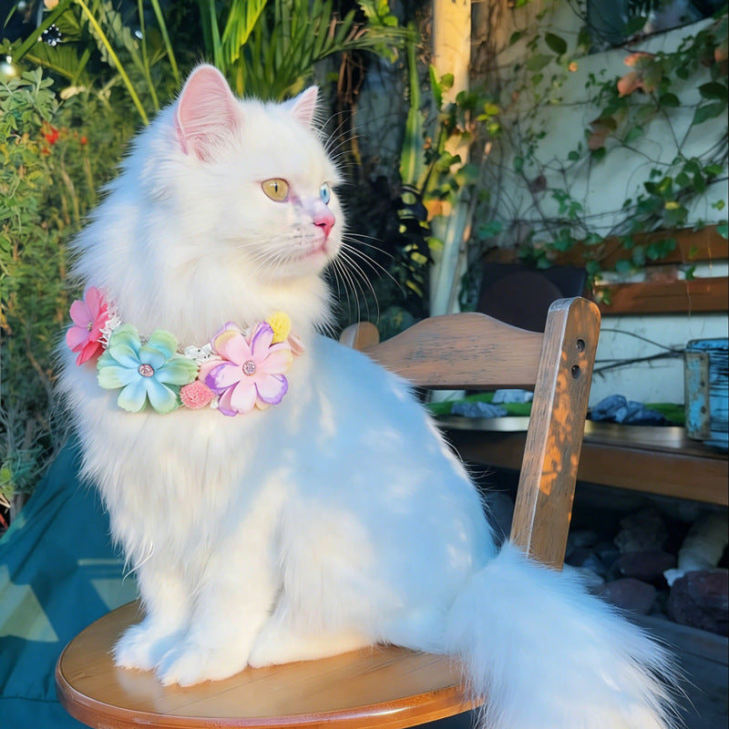 Collier de fleurs mignon pour chats d'animaux