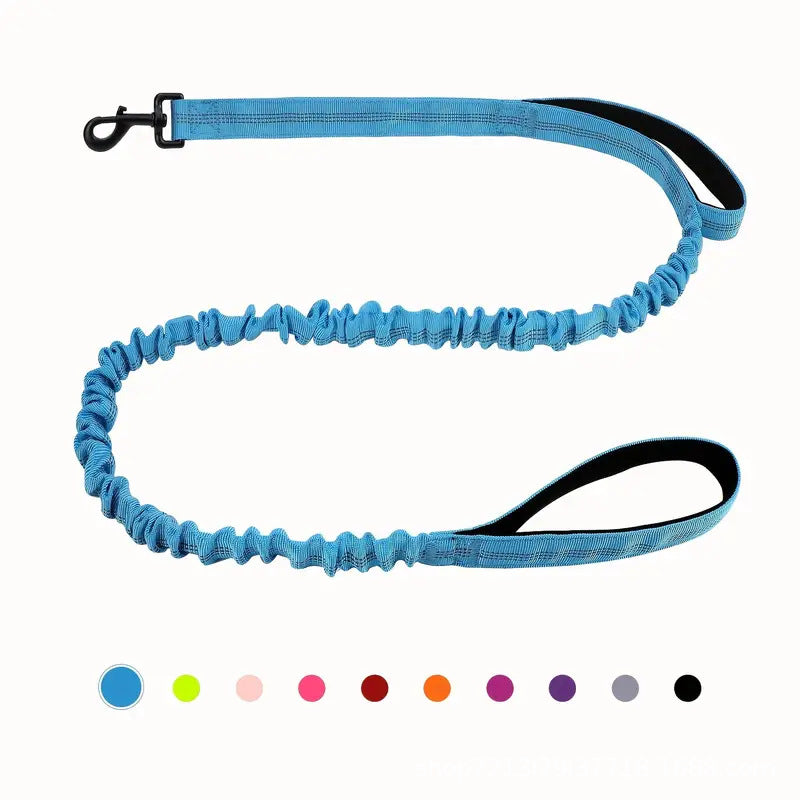 Feuille de chien multifonctionnelle pour les grandes races Anti-pull