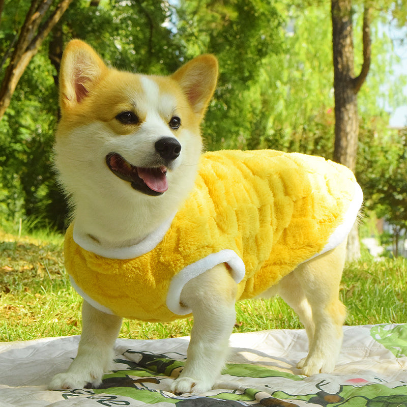 Vêtements de chien Automne et hiver Veste rembourrée anti-dorteuse de taille moyenne