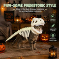 Dinosaure Skeleton Costume de chat Halloween Chat Hoodie