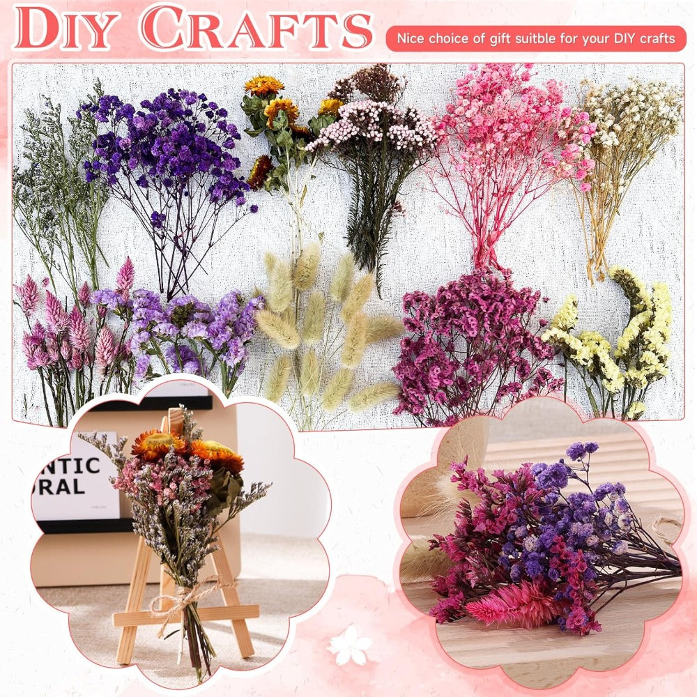 Ensemble de 140 Mini fleurs séchées dans des nuances de rose
