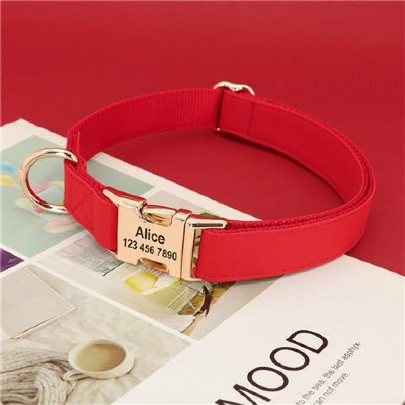 Tag chien collier d'or anti perte