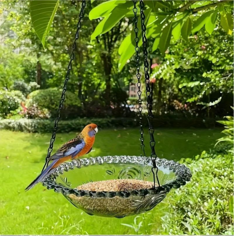Bains d'oiseaux suspendus et nourrisseurs pour l'extérieur