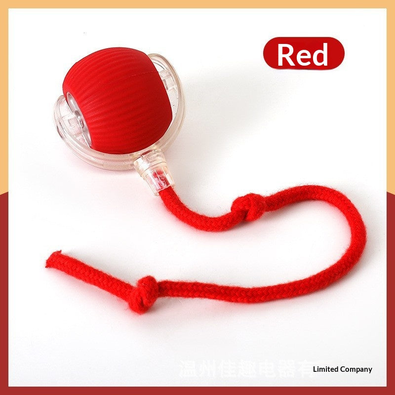 Auto-amusant Boredom-relief Gadget Pet Supplies Dog