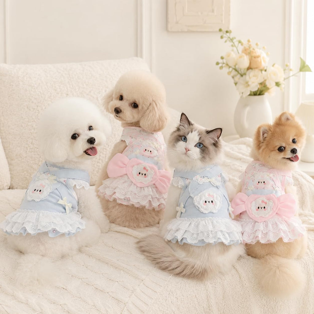 Robe de chien mignon sans manches