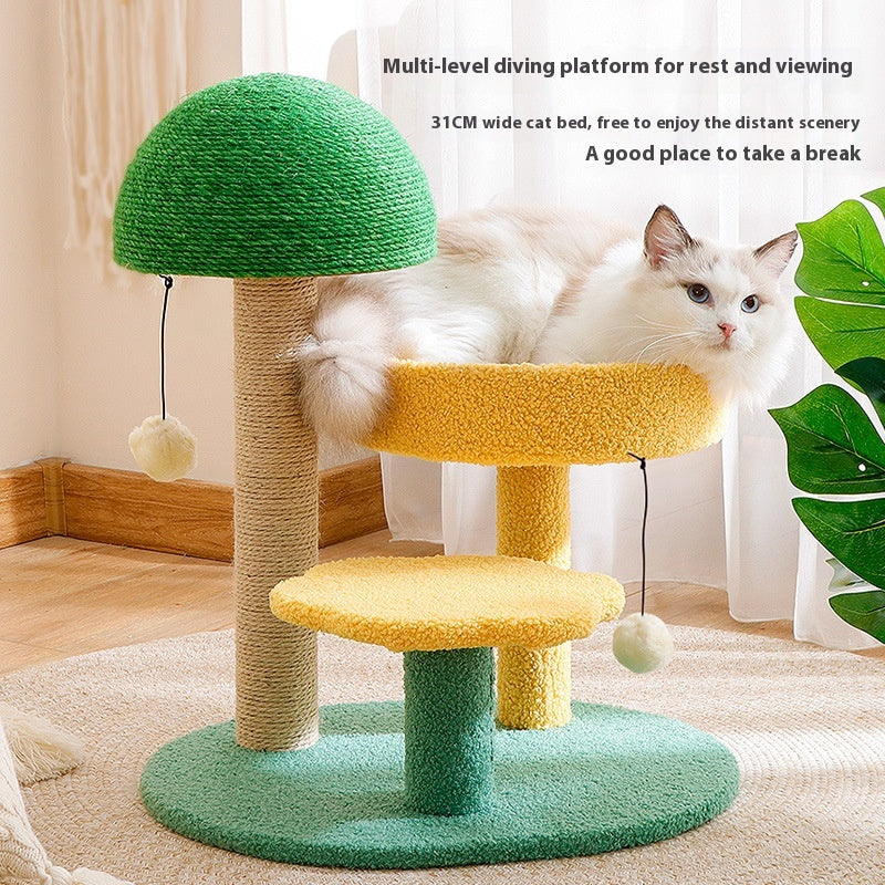 Jouet de cadre d'escalade Cat intégré Cactus