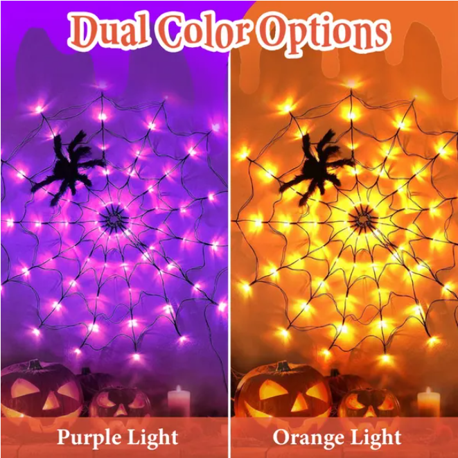 1Pc 3.28FT Spider Web Light avec araignée poilue