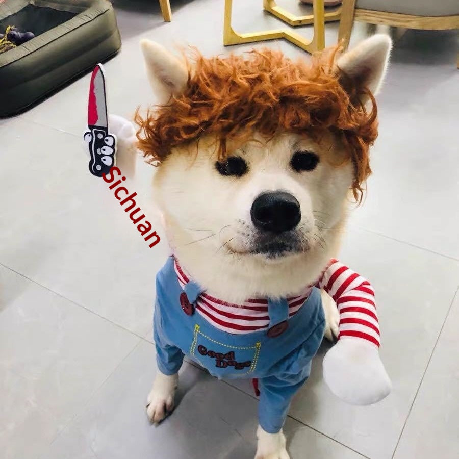 Vêtements pour animaux de compagnie Cat et vêtements pour chiens