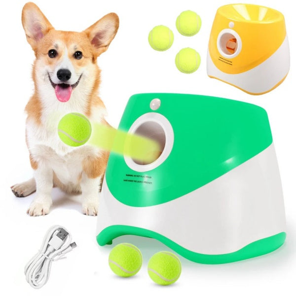 Launcheuse automatique de balle de chien à lancer des chiens intérieur extérieur