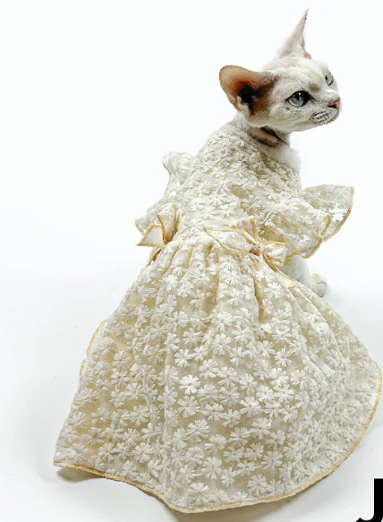 Sphynx Robe Princesse de chat Brodé vêtements de luxe pour chats sans cheveux