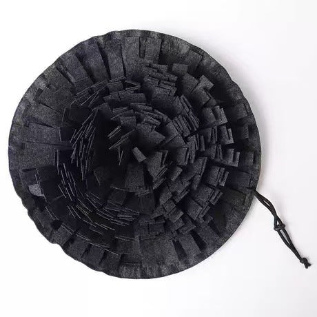 Aliments pour animaux de compagnie Tapis pour chiens et chats