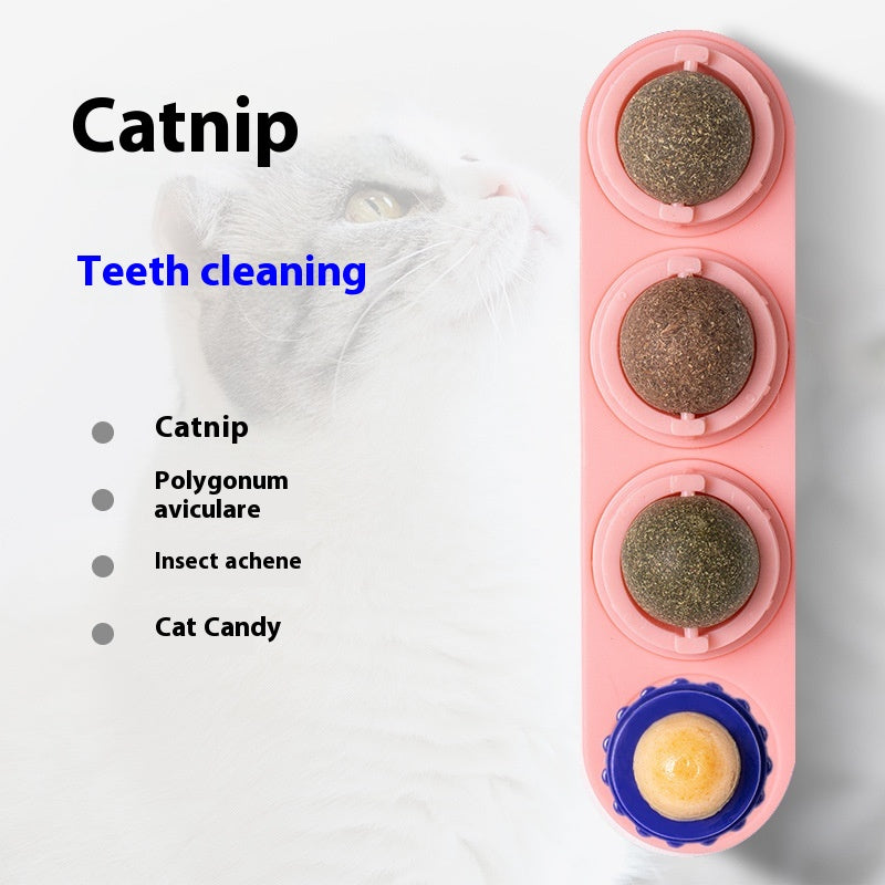 Tasses de jouet de chat Molar Longue durée Pet Supplies