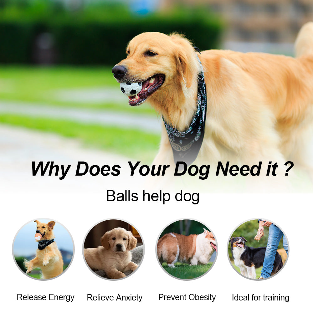 12 PCS Jouet de chien non toxique Balle en caoutchouc dur Balle de nettoyage solide de dents durables pour chécher et bonjour