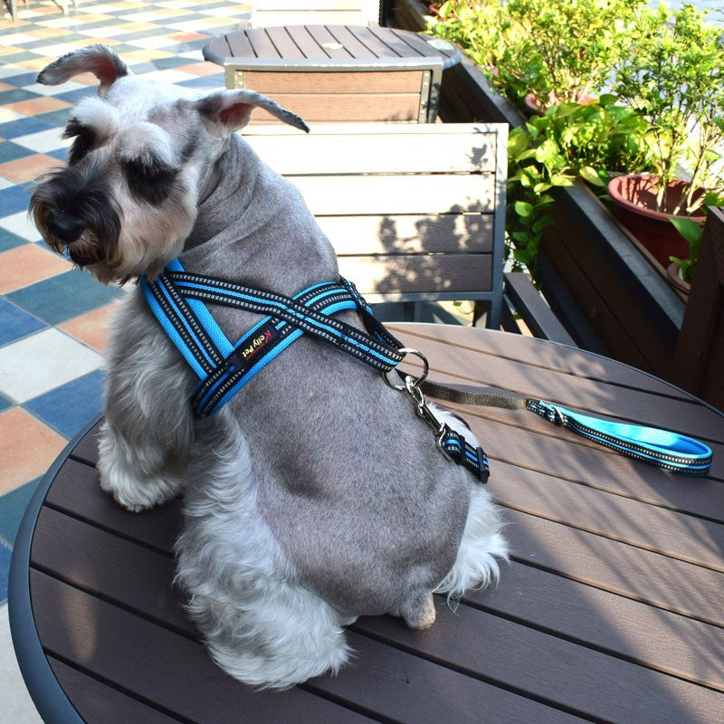 Harnais de poitrine de style vestige en laisse de chien