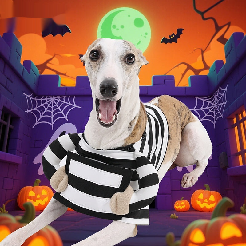 Chien Halloween costume de chien rayé vêtements drôles