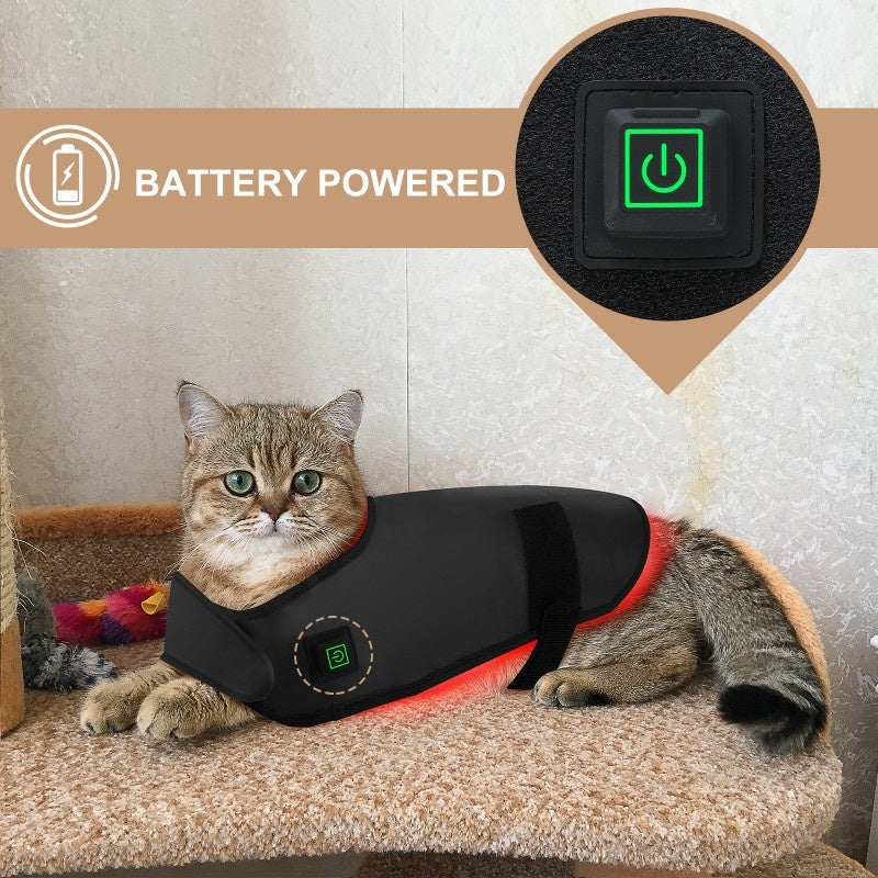 Appareil de thérapie infrarouge à lumière rouge Pet