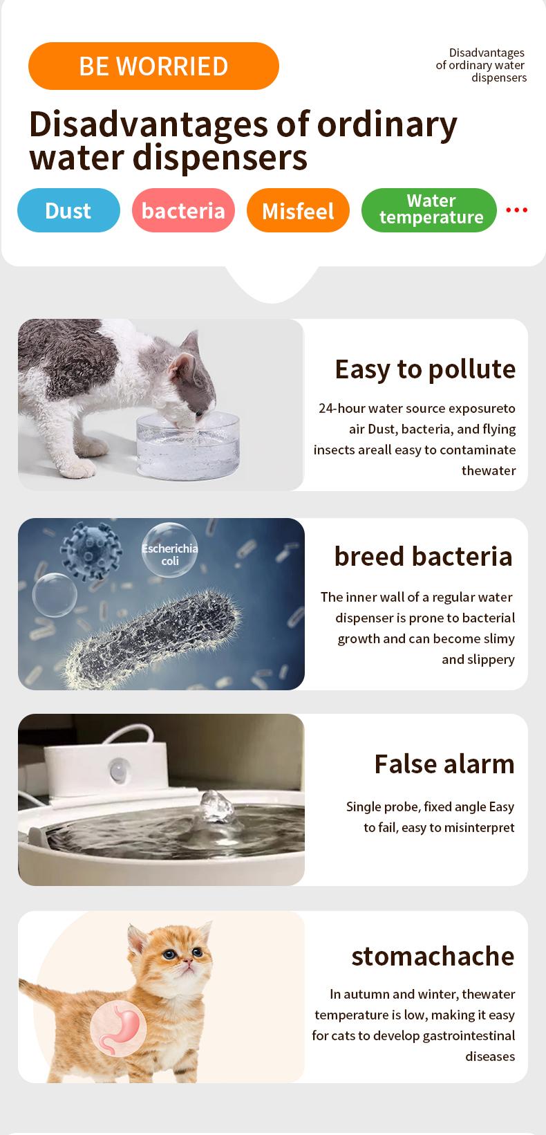 Batterie de recharge sans fil alimentée 304 en acier inoxydable Cat Induction automatique Pet Water Fou
