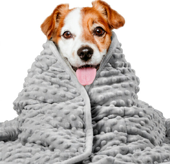 Couverture Thunder lavable chien animal de compagnie