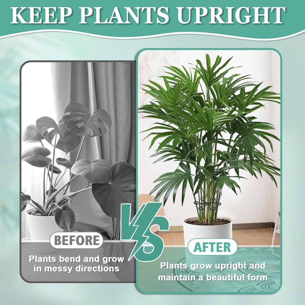 Tuteurs pour plantes d'intérieur — 8 supports réutilisables