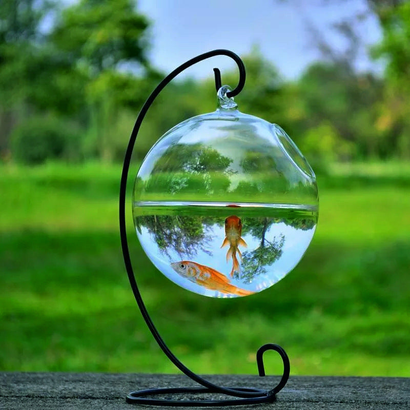 Réservoir de poisson en verre suspendu