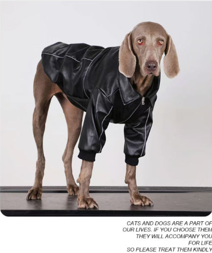Vêtements de chien pour les races moyennes à grandes Veste en cuir noir automne pour les Labradors