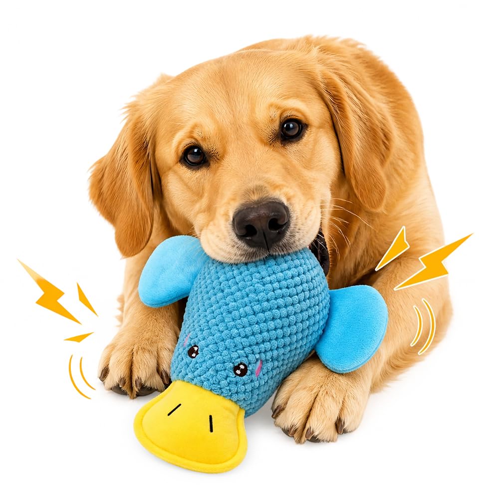 Jouets pour chiens pour brochettes agressives