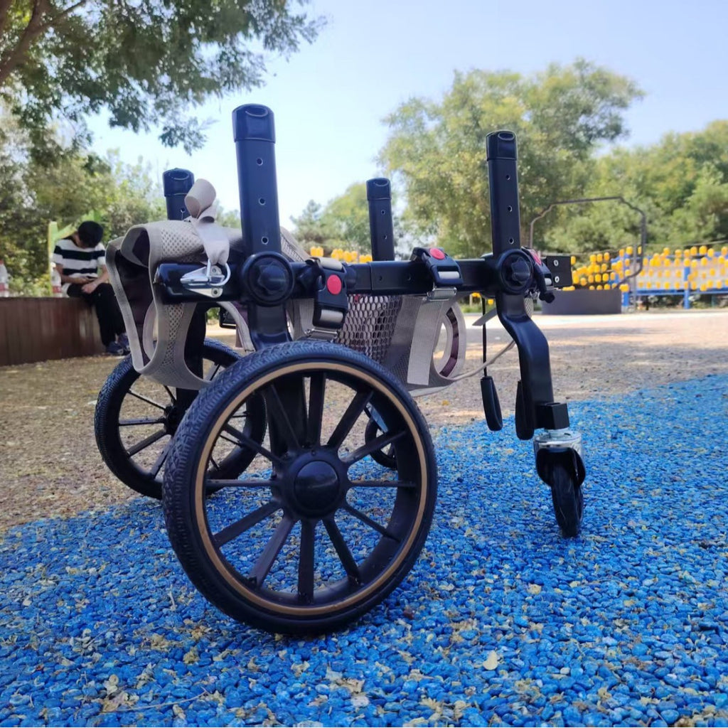 Fauteuil roulant pour chiens pour la réhabilitation de la paralyse et l'aide à la mobilité pour chiens handicapés