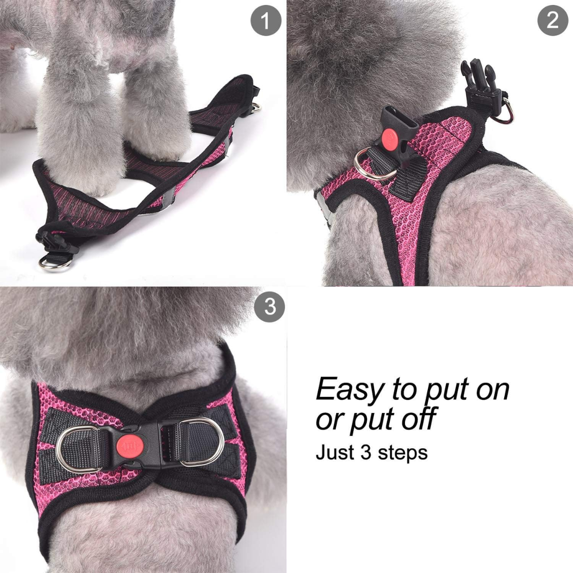 Harnais pour chiens de chat respirants pour petits chiens moyens