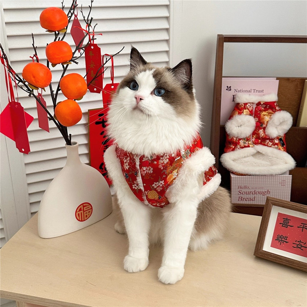 Sous-vêtements Ragdoll Maillot de chaton à l'ombre d'argent
