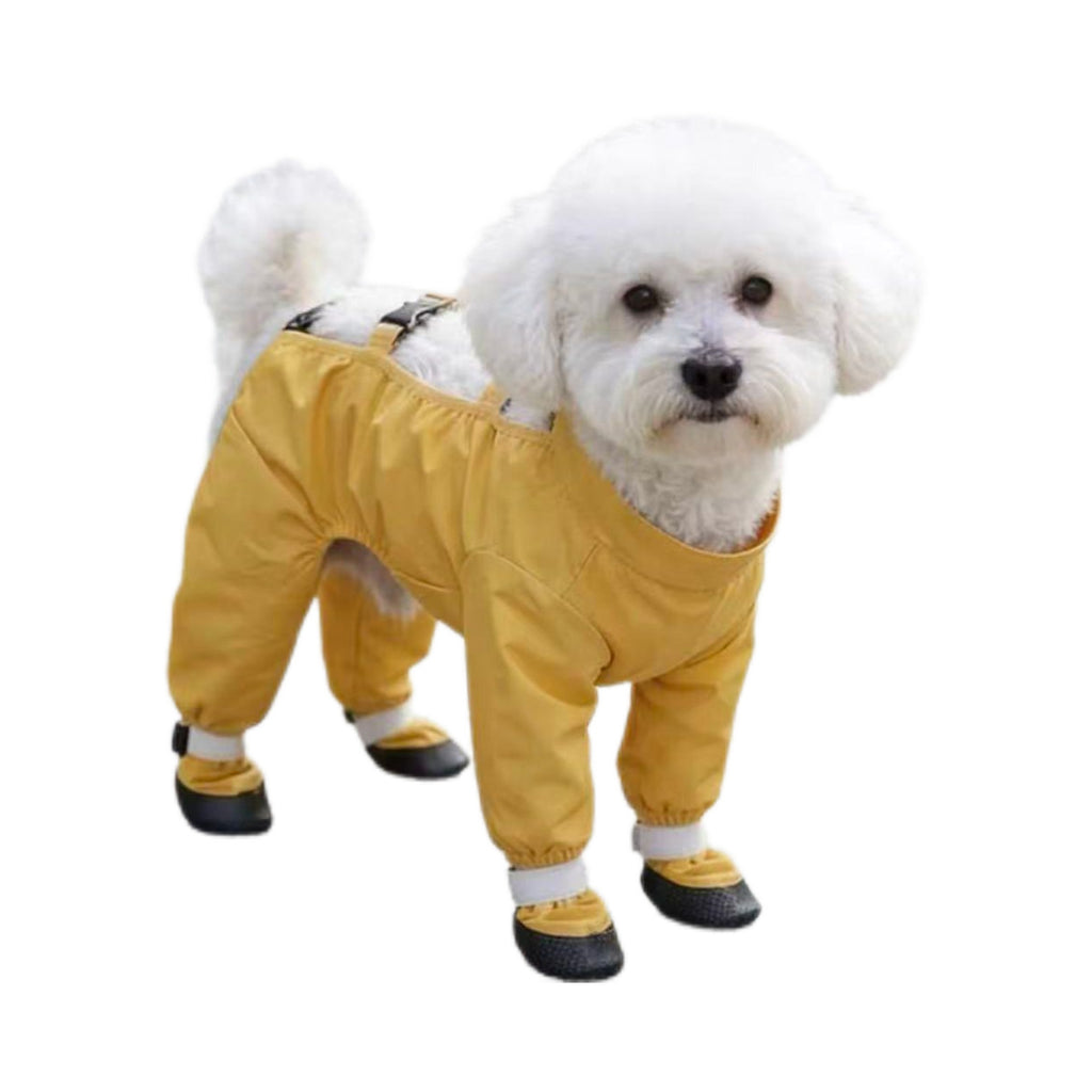 Pantalons anti-poussière pour chiens Et résistant à l'urine