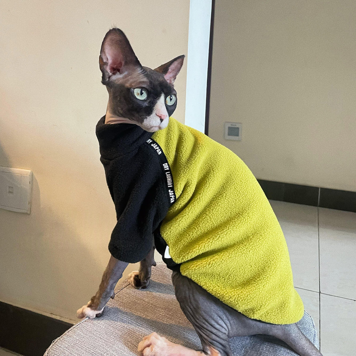 Épaisseur polaire polaire chaude manches longues vêtements pour chats sans cheveux