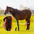 Instrument de photothérapie portable pour récupérer le genou arrière du cheval