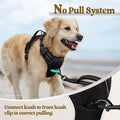 Harnais et jeu de laisses pour chien tout-en-un multicouches - Corde de marche en nylon durable pour Smal