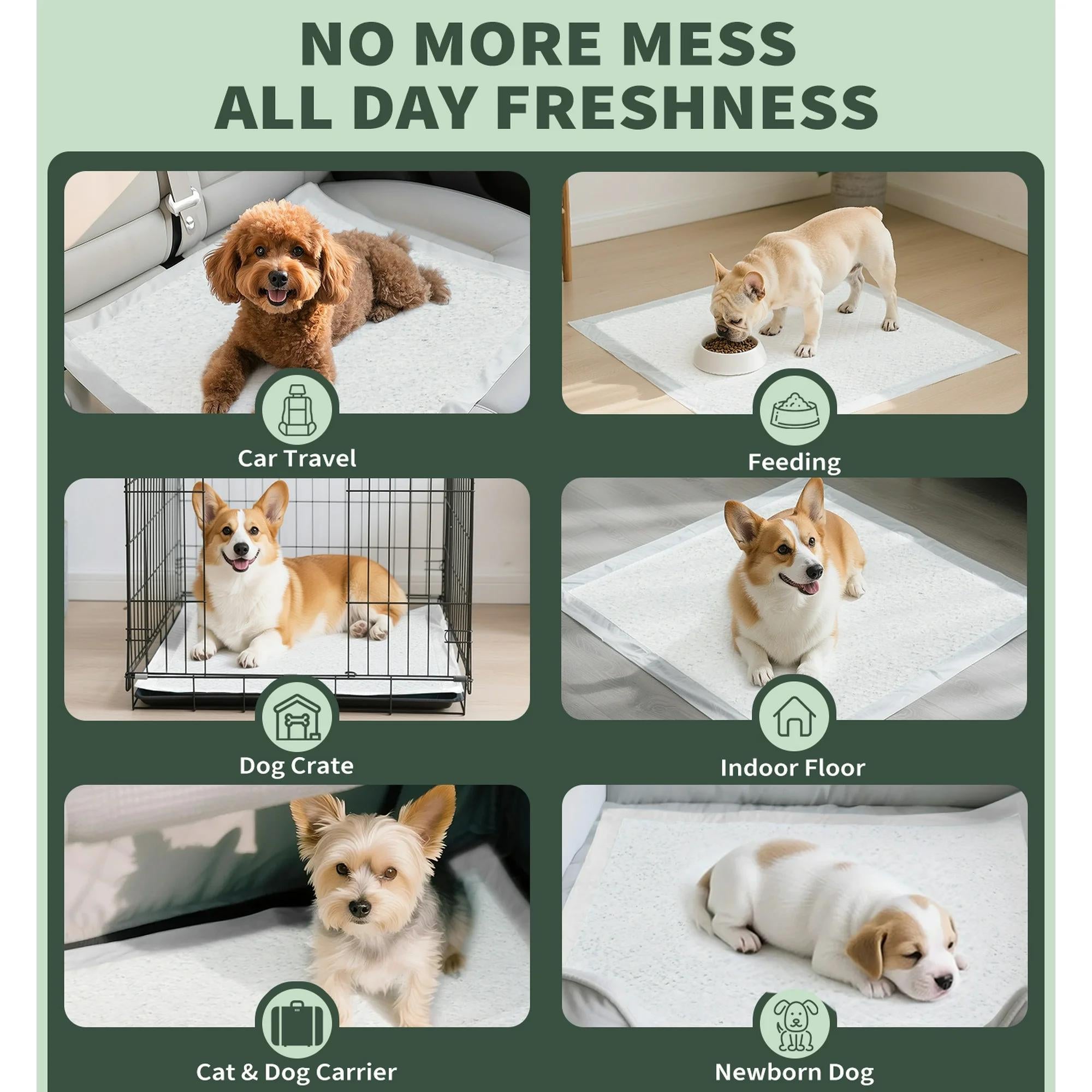Pads pour chiens et chiots