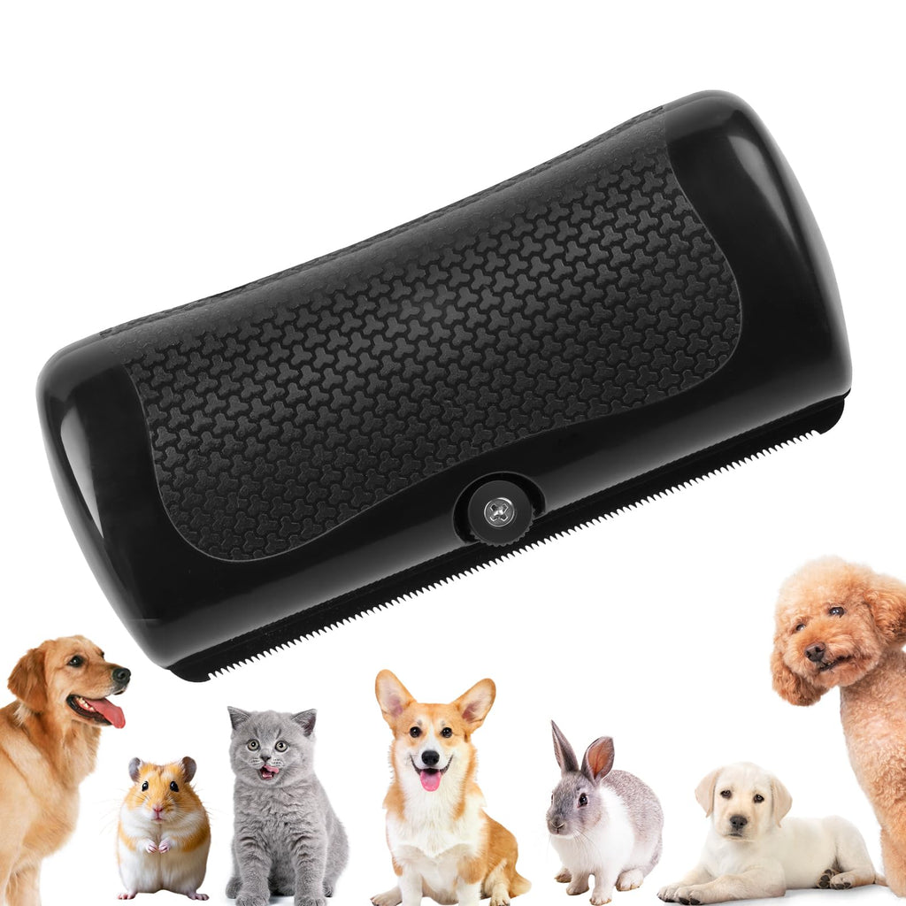 Brosse de chien pour la couverture