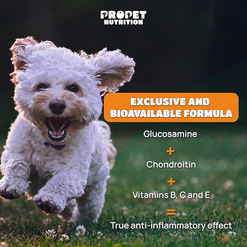 Suppléments pour chiens et chats avec de la glucosamine