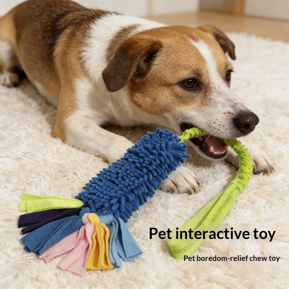 Animaux de compagnie Dents et dents Nettoyage Rope résistante chien Interactive Boredom Busting
