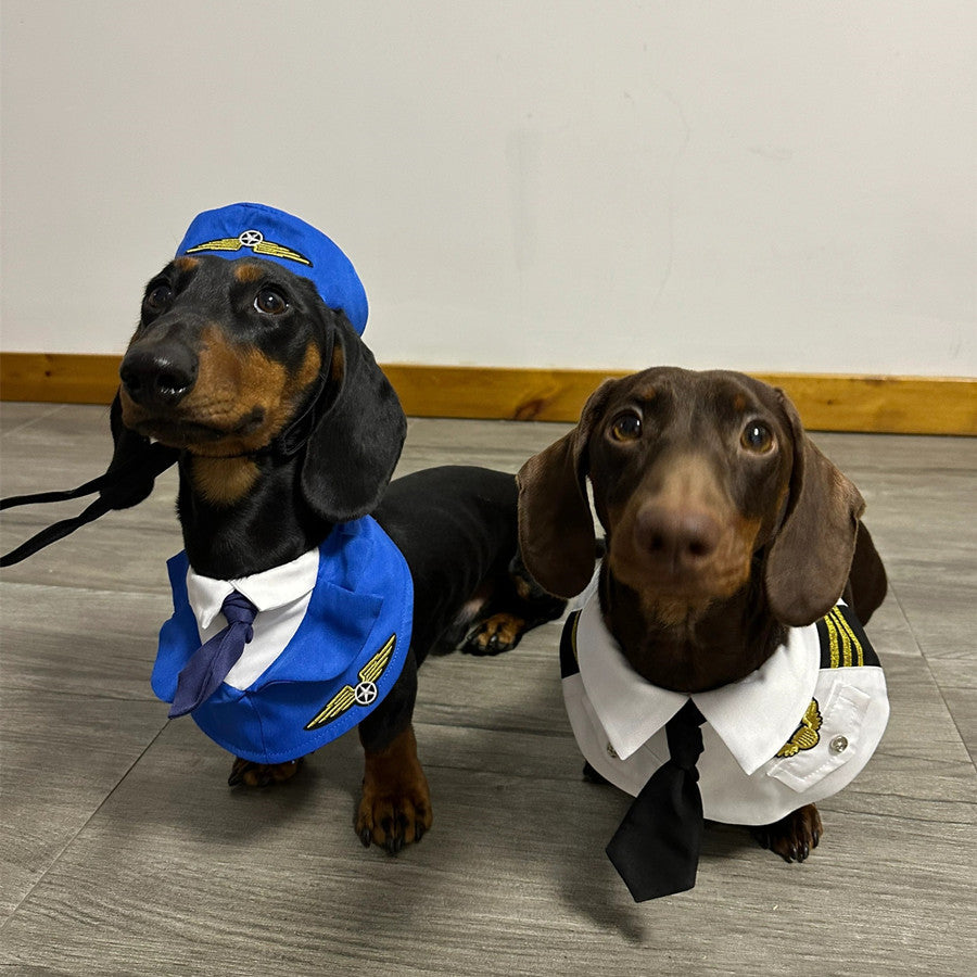 Dachshund Dog drôle vêtements Halloween costume