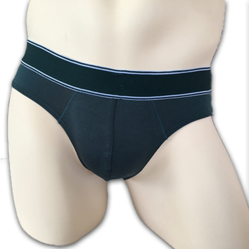 Sous-vêtements pour hommes Youth Graphene Fine Modal Grand Pouch