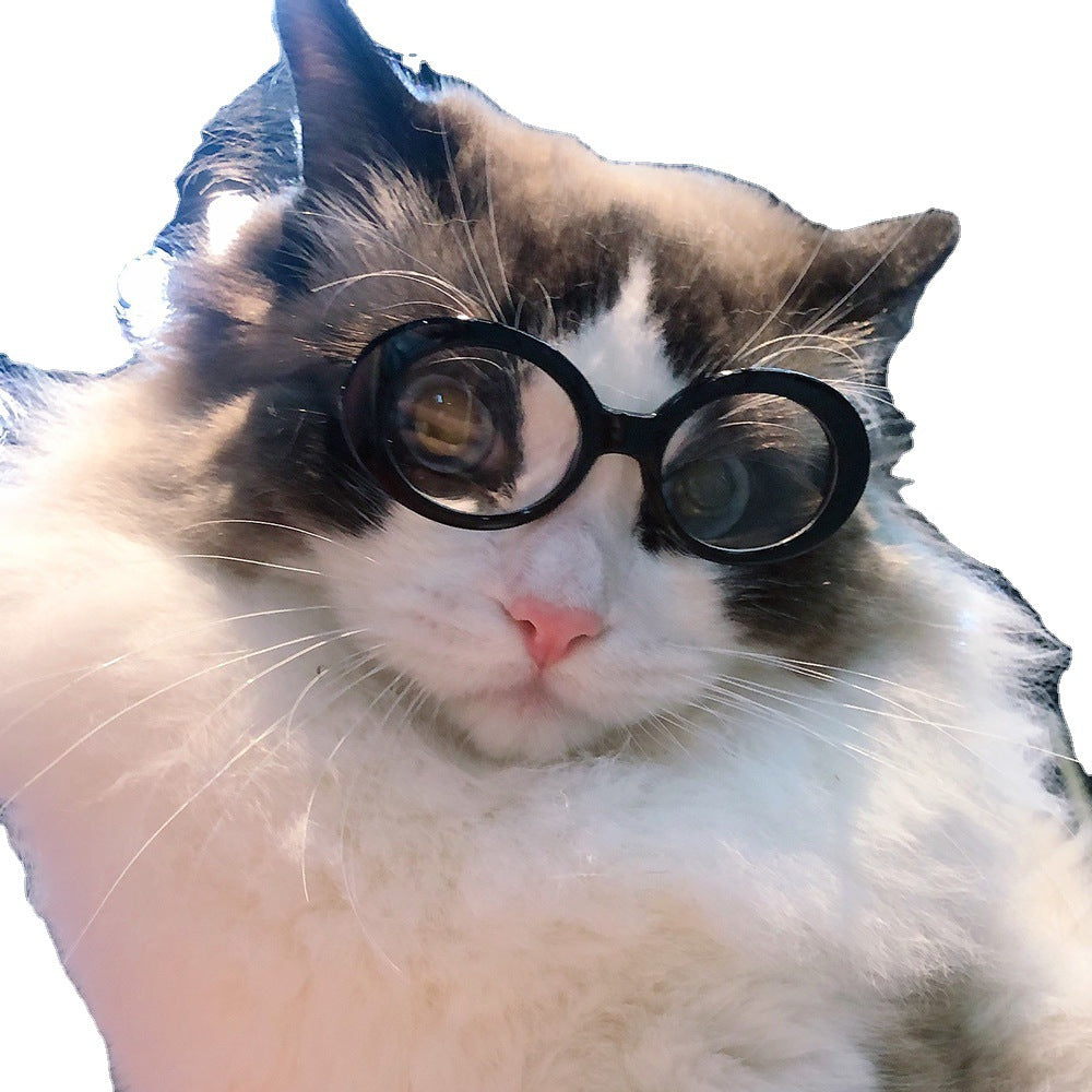 Pet Dog Cat Lunettes de soleil multicolores Cool Handsome Accessoires