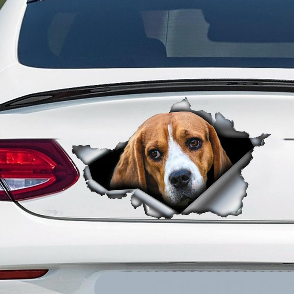 Car Tail Pattern Pet Sticker