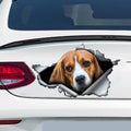 Car Tail Pattern Pet Sticker