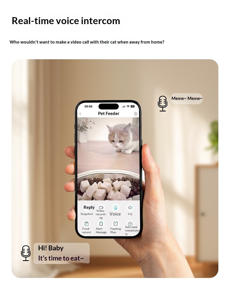 Alimentation automatique pour chiens