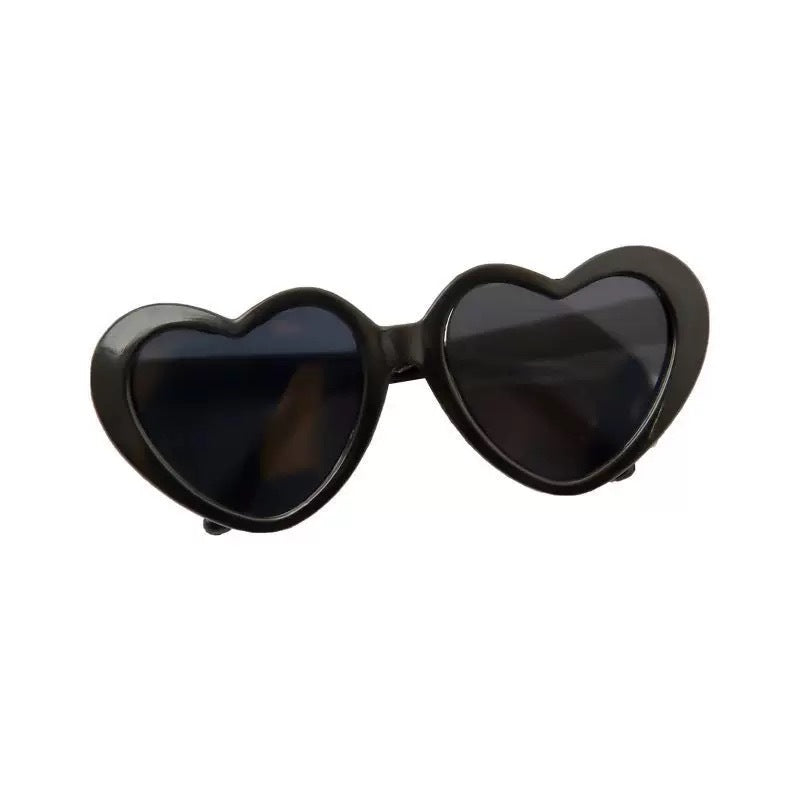 Lunettes de soleil pour animaux de compagnie